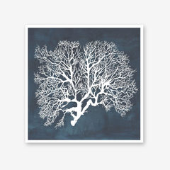 Inverse Sea Fan I, II & IV Set