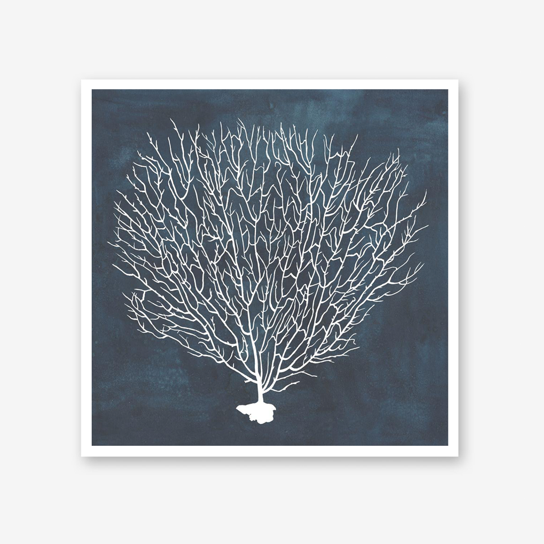 Inverse Sea Fan I, II & IV Set