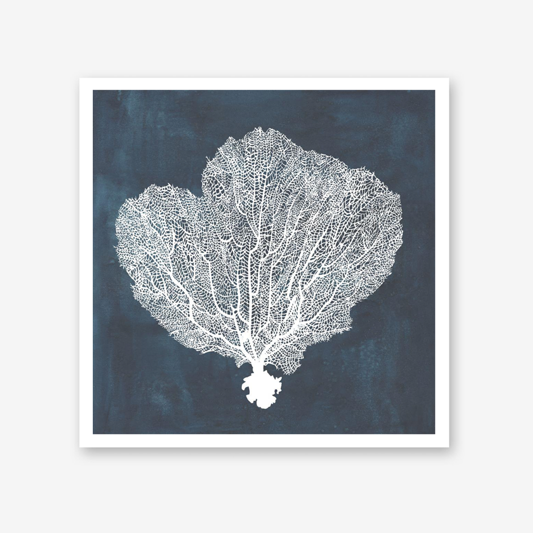 Inverse Sea Fan I, II & IV Set