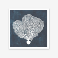 Inverse Sea Fan I, II & IV Set