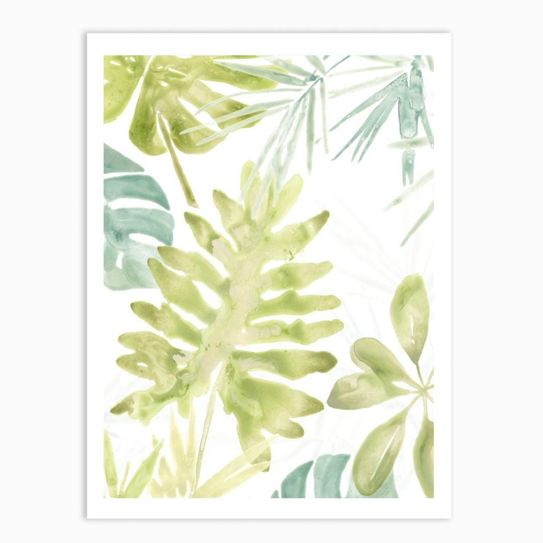 Island Medley III & VI set