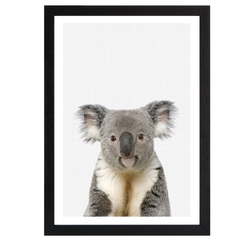 Koala Portrait
