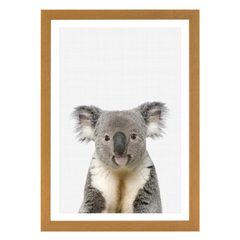 Koala Portrait