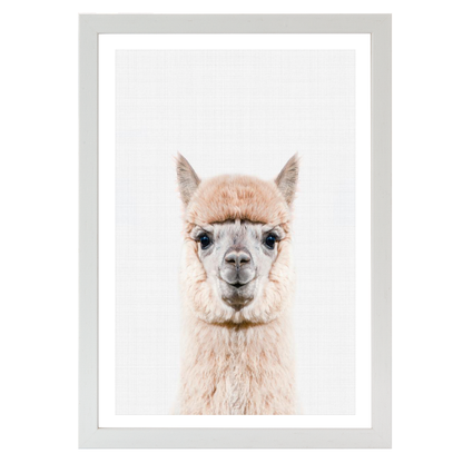 Llama Portrait Print