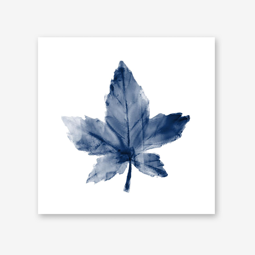 Navy Leaf Print 1,2 & 3 Set
