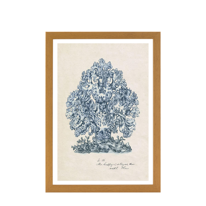 Sea Coral Study II