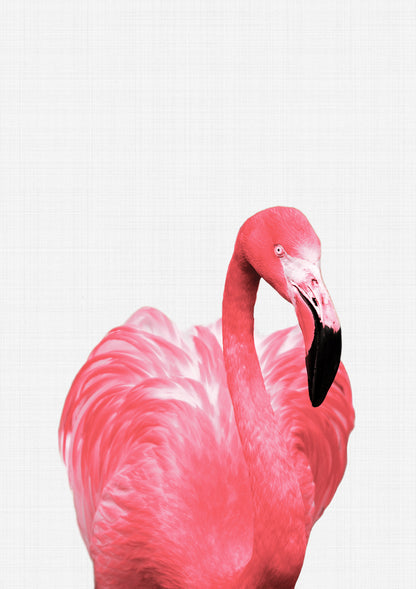 Flamingo Portrait Print