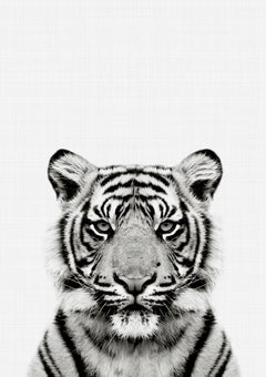 Tiger Portrait Print