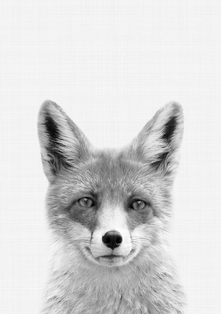 Fox B&W