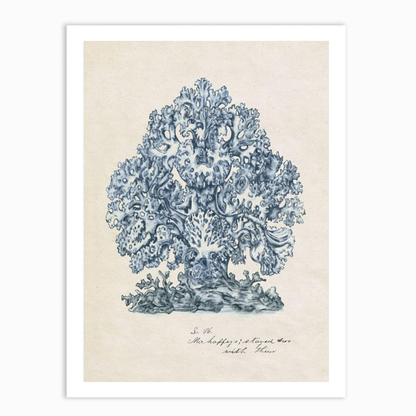 Sea Coral Study II