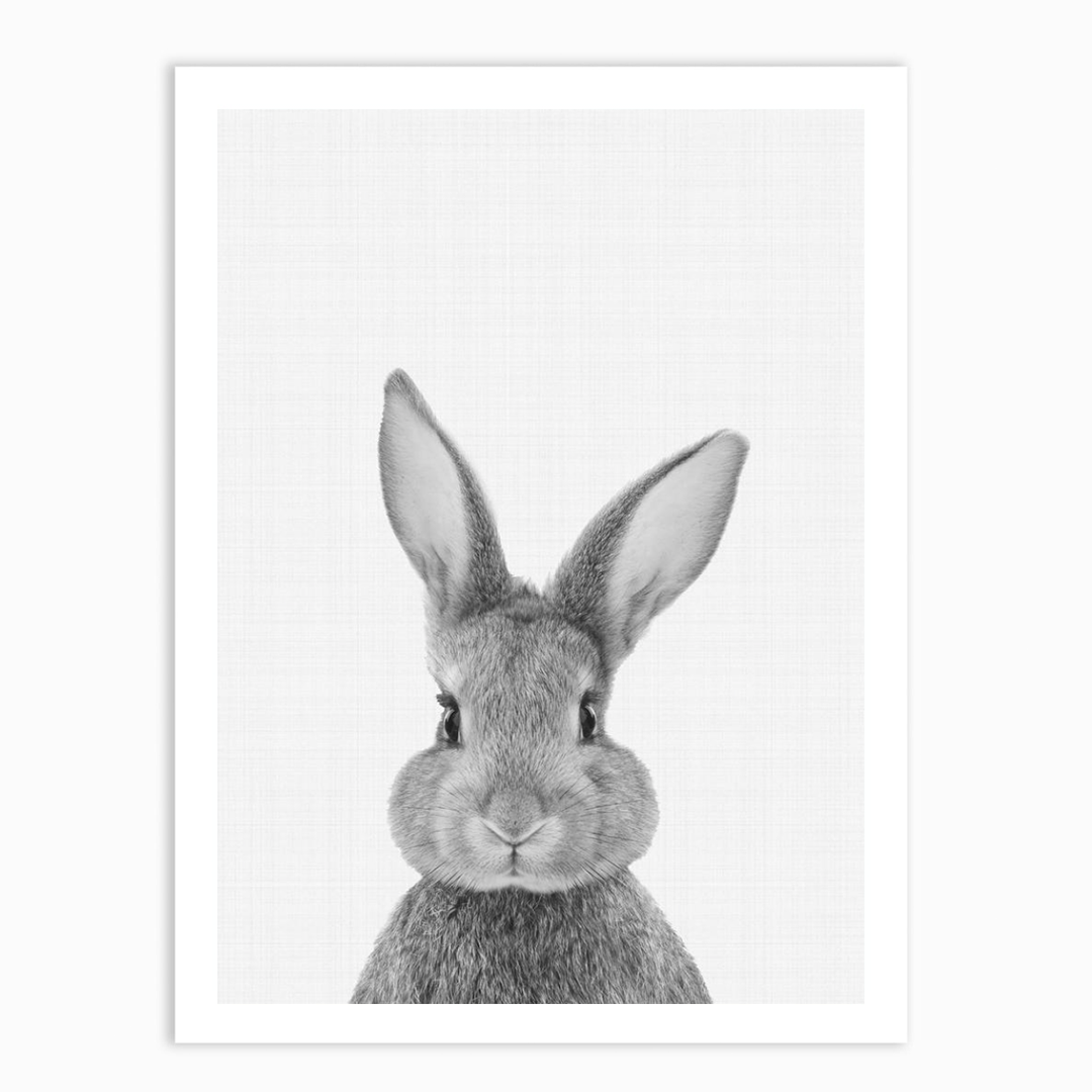Rabbit Portrait Print – The Wall Art Club
