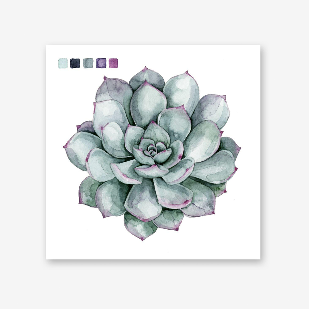 Succulent Swatches I & II Set
