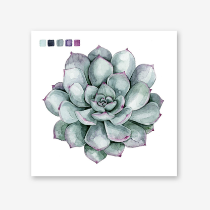 Succulent Swatches I & II Set
