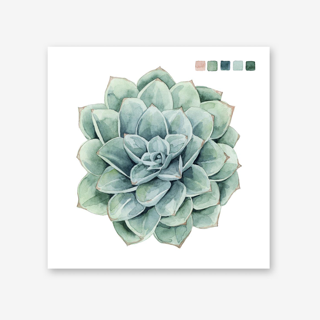 Succulent Swatches I & II Set