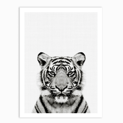 Tiger Portrait Print
