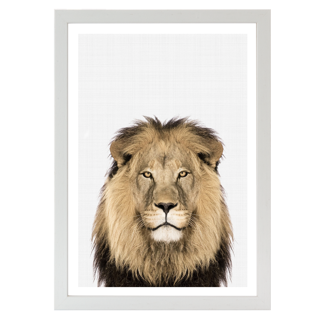 Lion Portrait Print