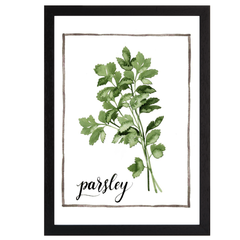 Watercolor Herbs II
