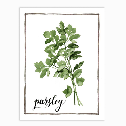 Watercolor Herbs II