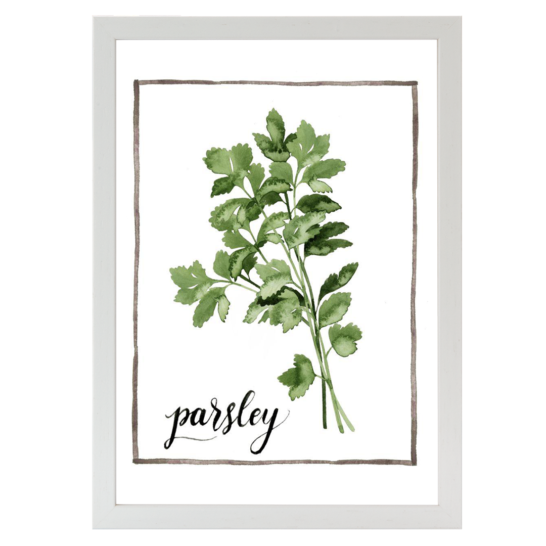 Watercolor Herbs II
