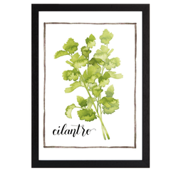 Watercolor Herbs IV