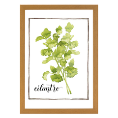 Watercolor Herbs IV