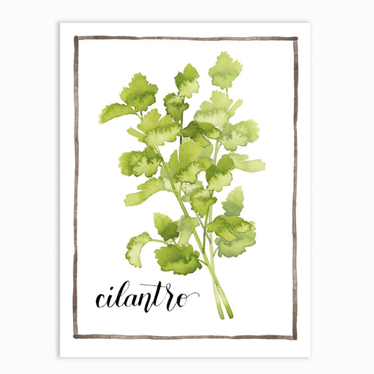 Watercolor Herbs IV
