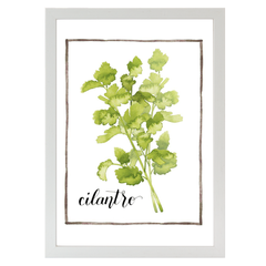 Watercolor Herbs IV