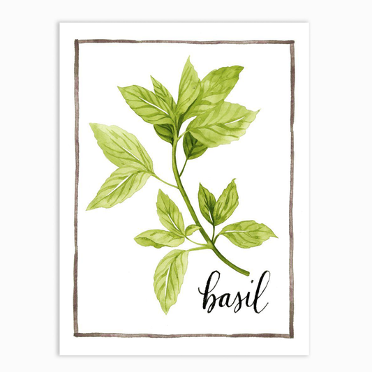Watercolor Herbs I