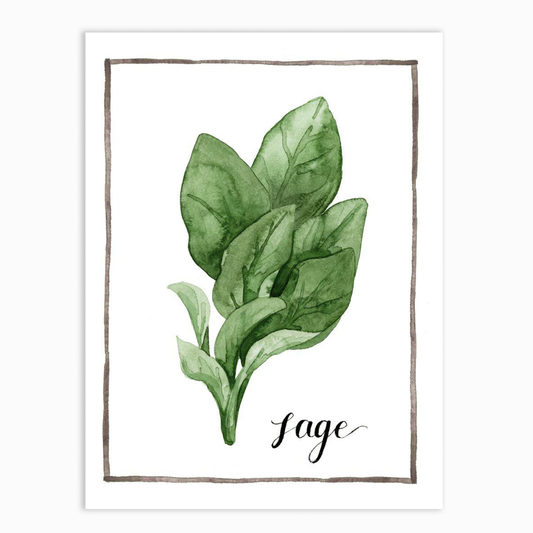 Watercolor Herbs VI