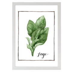 Watercolor Herbs VI