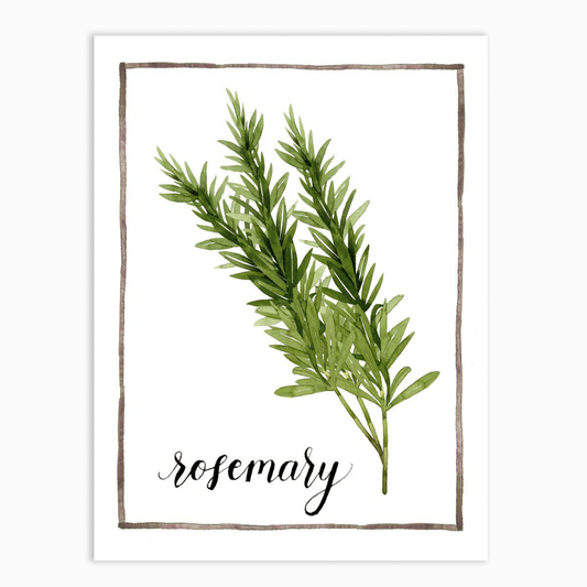 Watercolor Herbs V