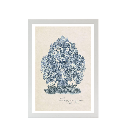 Sea Coral Study II