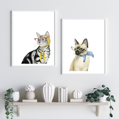Cool Cat II