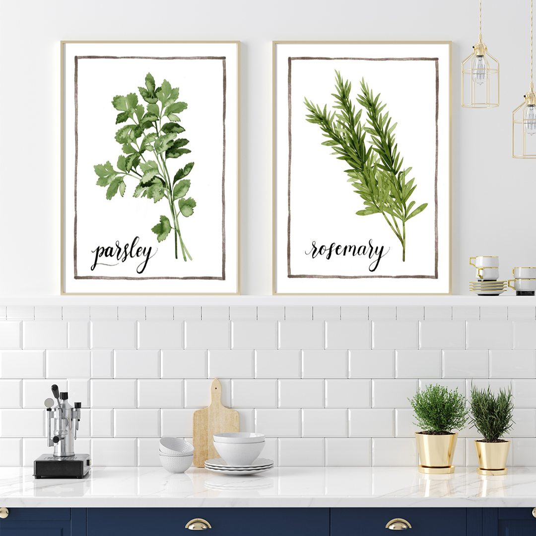 Watercolor Herbs II