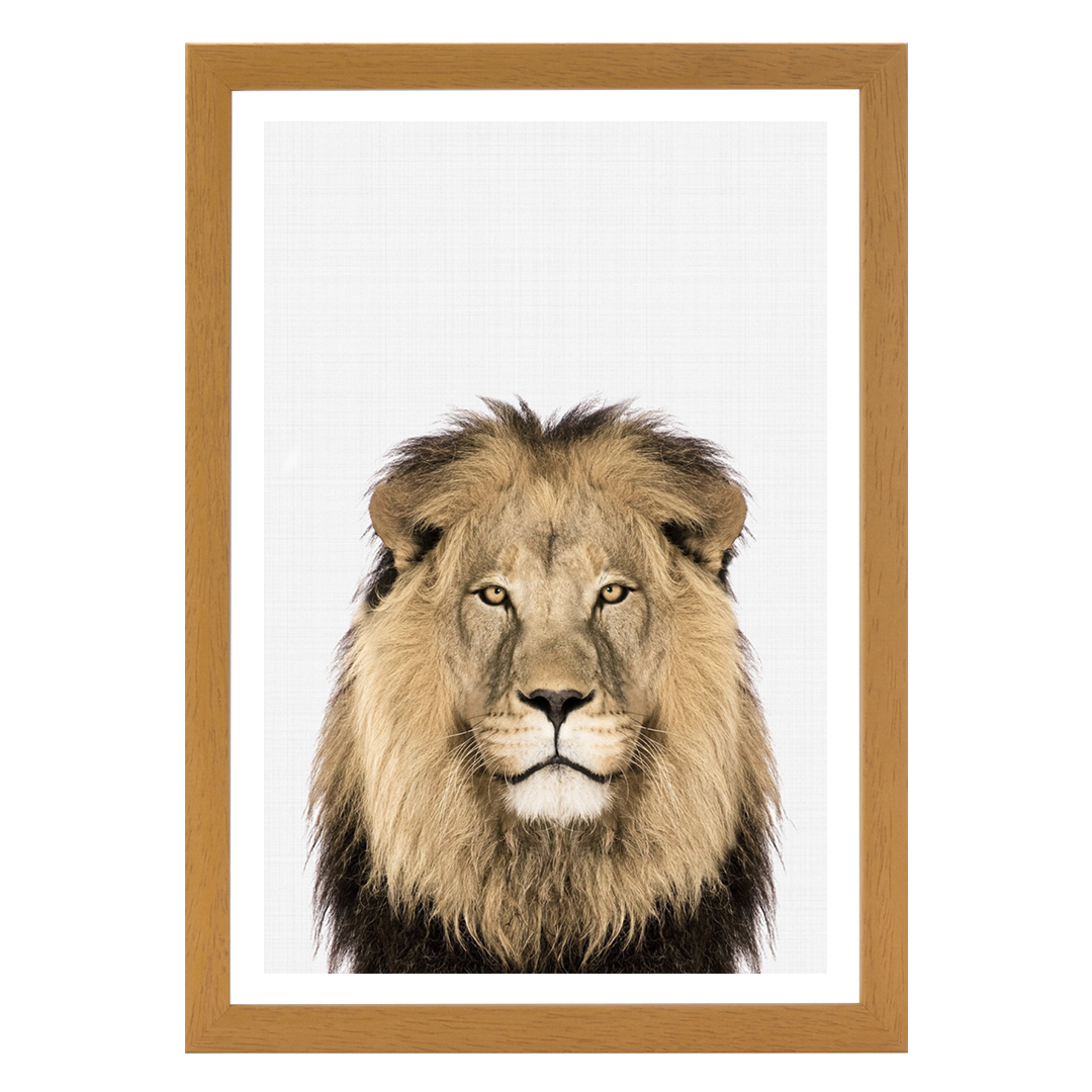 Lion Portrait Print