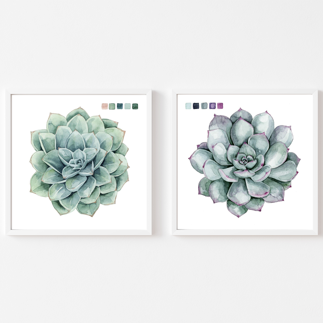 Succulent Swatches I