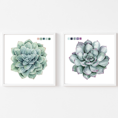 Succulent Swatches I