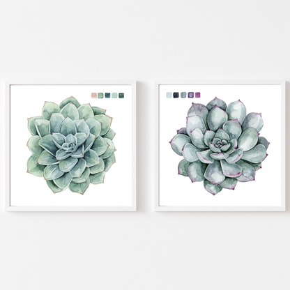 Succulent Swatches I